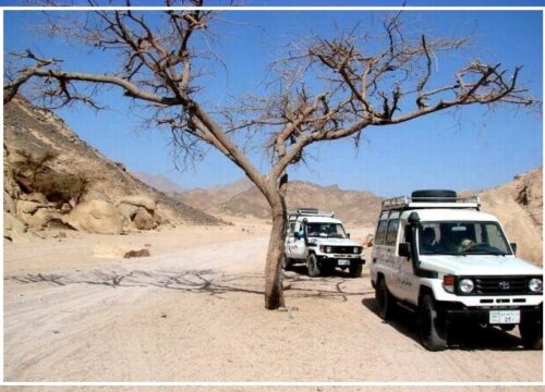 Jeep Safari