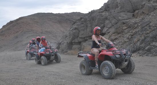 Quady Safari