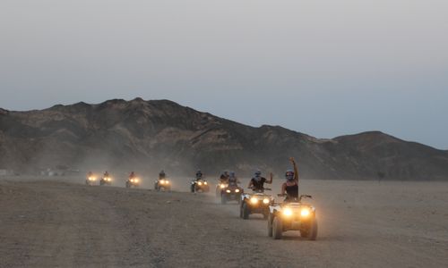Quady Safari
